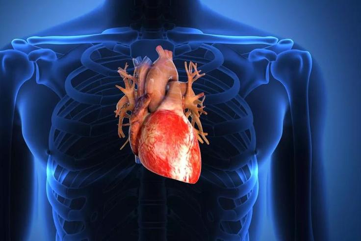 Insuffisance cardiaque