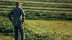 Farming and mining