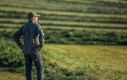 Farming and mining