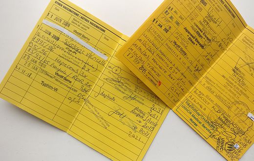 Carnet de vaccination -illustration