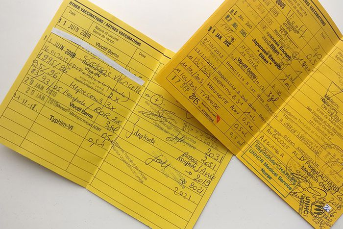 Carnet de vaccination -illustration