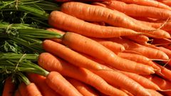 Carrots [USUExtension]