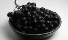 raisin-noir flickr 4027167342 233ab62a42 b