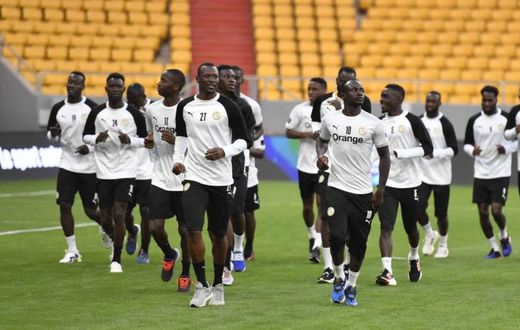 galop-lions-stade-abdoulaye-wade 5692-1140x570