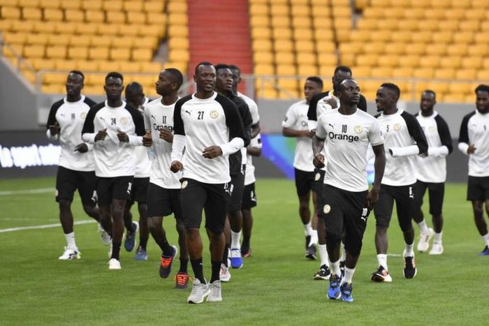galop-lions-stade-abdoulaye-wade 5692-1140x570