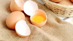 le-jaune-oeuf