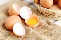 le-jaune-oeuf
