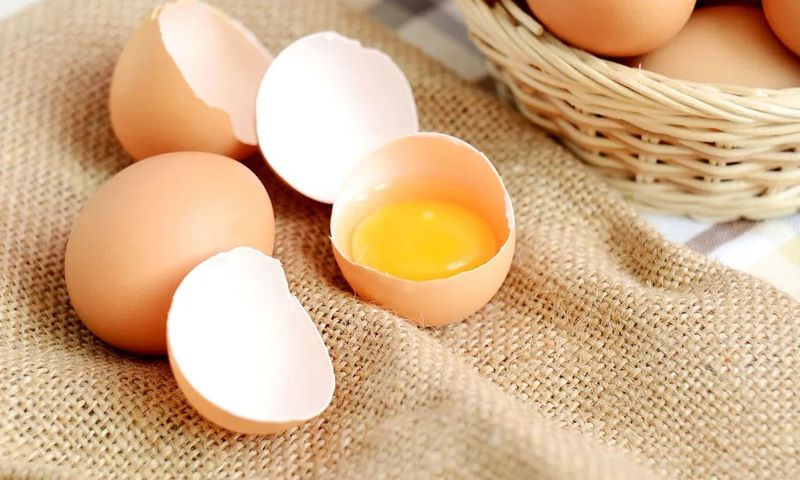 le-jaune-oeuf