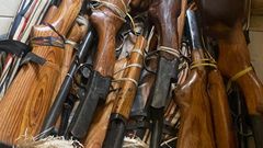 Criminalité faunique  neuf fusils et une peau de léopard saisis à Kolda (2)