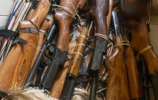 Criminalité faunique  neuf fusils et une peau de léopard saisis à Kolda (2)