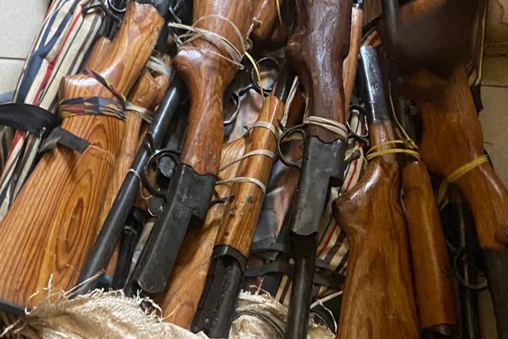 Criminalité faunique  neuf fusils et une peau de léopard saisis à Kolda (2)