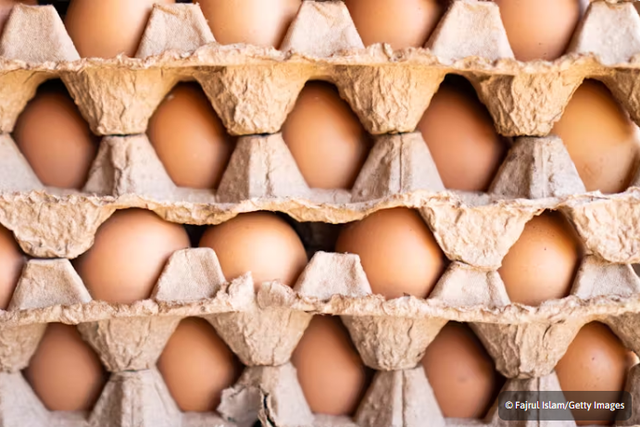 Capture d'écran 2024-09-27 165235