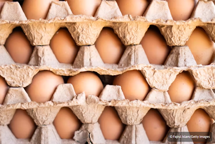 Capture d'écran 2024-09-27 165235