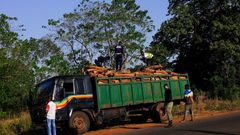 Abattage d'arbres en Guinée-Bissau