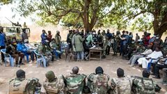 Sept soldats sénégalais libérés par des rebelles
