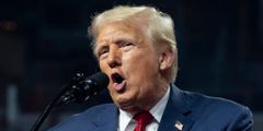 Former president Donald Trump campaigning in Arizona.Rebecca Noble/Getty Images