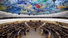 Conseil des Droits de l'Homme de l'ONU