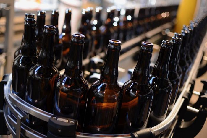 Production de bière