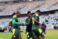Sénégal Lions locaux