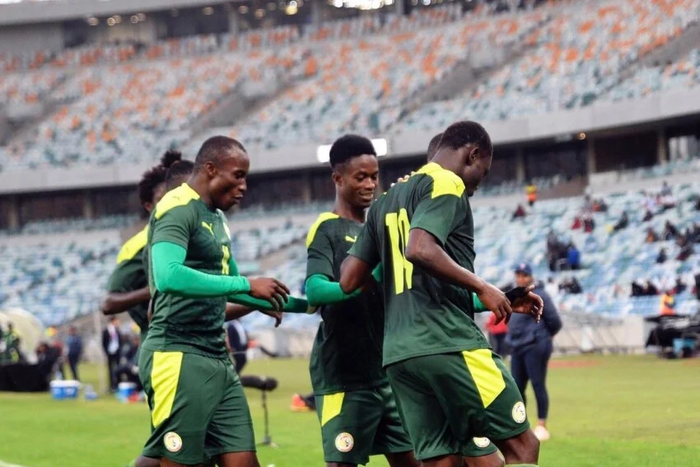 Sénégal Lions locaux