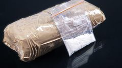 Cocaine powder