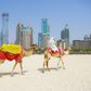 Des chameaux sur le sable devant les immeubles de Dubaï