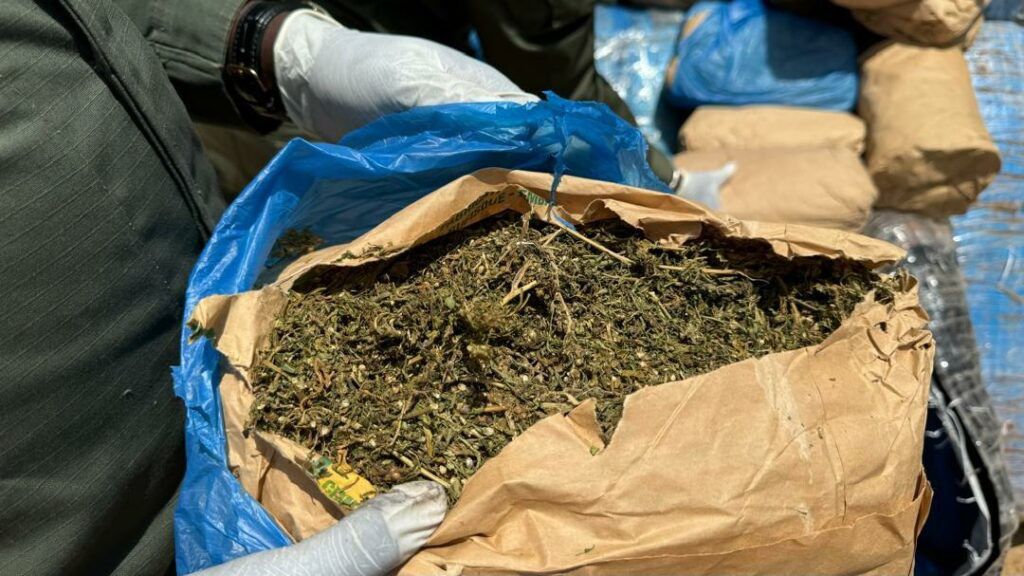 drogue