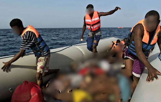 migrants-3-1-905x613