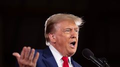 Former President Donald Trump in a recent Bloomberg Businessweek interview called for Taiwan to pay the US for its defense.Scott Olson/Getty Images