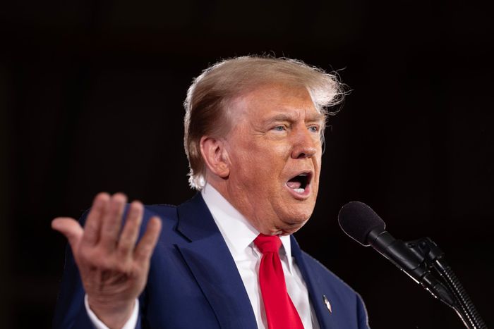 Former President Donald Trump in a recent Bloomberg Businessweek interview called for Taiwan to pay the US for its defense.Scott Olson/Getty Images