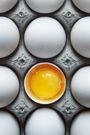 oeufs