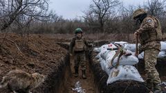Ukrainian soldiers builds a bunker on the front line on.