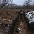 Ukrainian soldiers builds a bunker on the front line on.