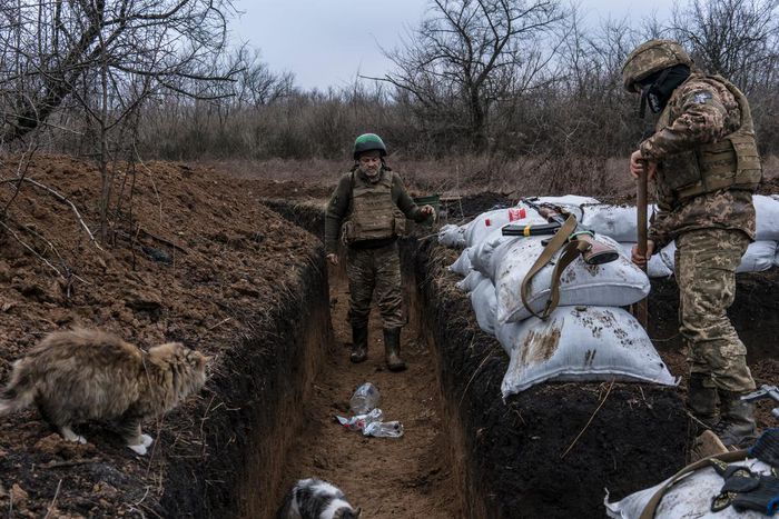 Ukrainian soldiers builds a bunker on the front line on.