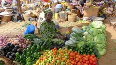 vendeuse-legumes-marche-tomates-oignon-choux