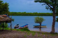 Le Delta du Saloum est l'un des plus beaux sites du Sénégal