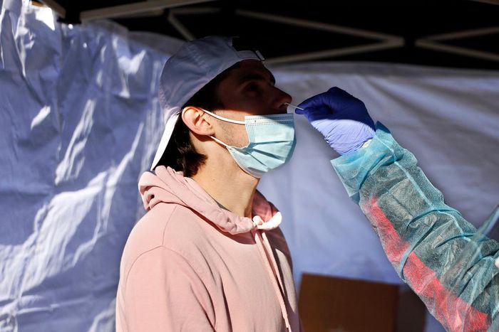 BA.1, BA.1.1, BA.2 and BA.3 are subvariants of Omicron.