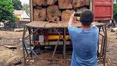 Conteneur de bois