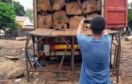 Conteneur de bois