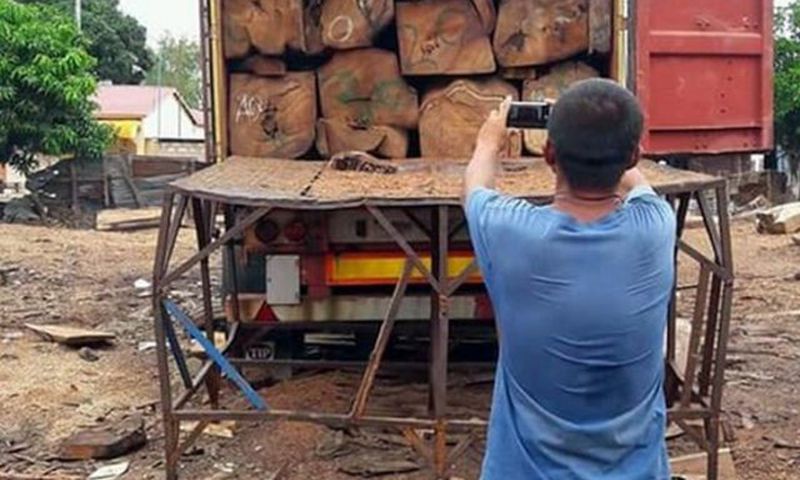 Conteneur de bois