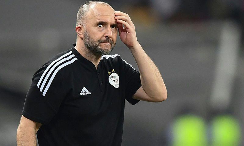 Djamel Belmadi led Algeria to victory at the 2019 AFCON, but lost the plot against Equatorial Guinea and Cote d'Ivoire
