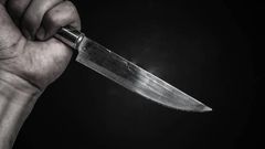 17 year old boy stab boss to death with kitchen knife