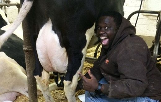 Who were the first humans to milk a cow [dairygoodcow]
