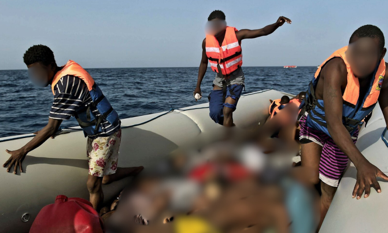 migrants-3-1-905x613