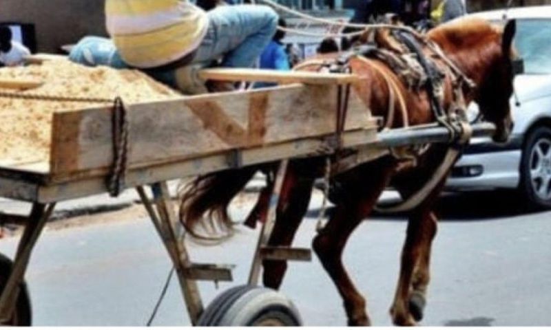 cheval