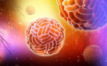 Zika-Virus-24-M