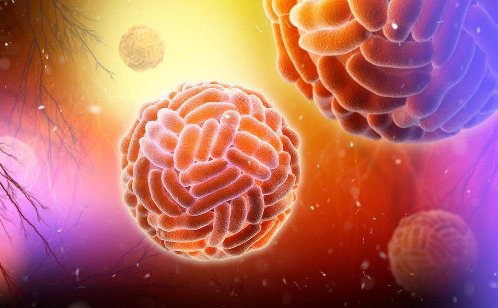 Zika-Virus-24-M