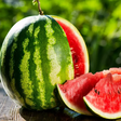 i102125-pasteque-nu