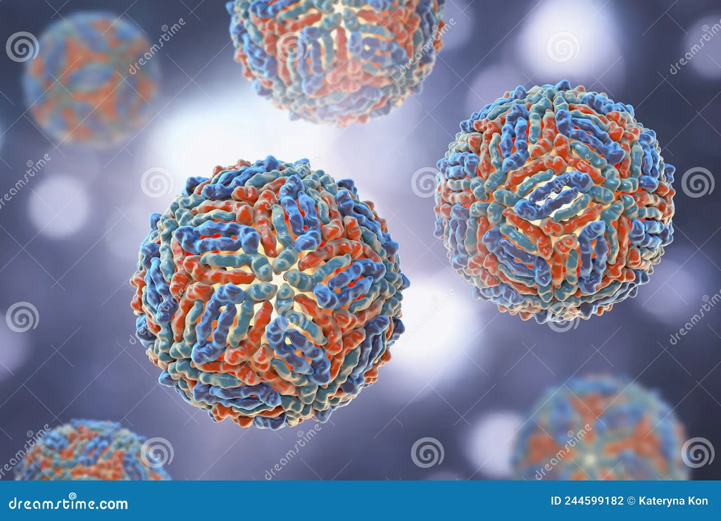 west-nile-virus-wnv-d-illustration-virus-transmitted-mosquito-causes-west-nile-fever-west-nile-virus-wnv-d-244599182