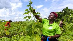 Promoting-women-economic-empowerment-in-West-and-Central-Africa